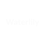 Waterlily