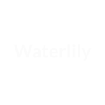 Waterlily